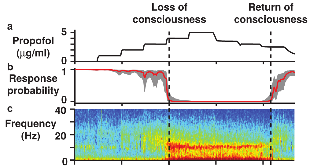 From Fig 1 of
@mukamel_transition_2014