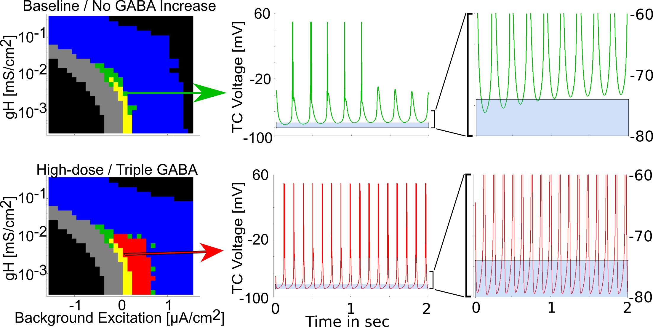 From Fig 5 of
@soplata_thalamocortical_2017
