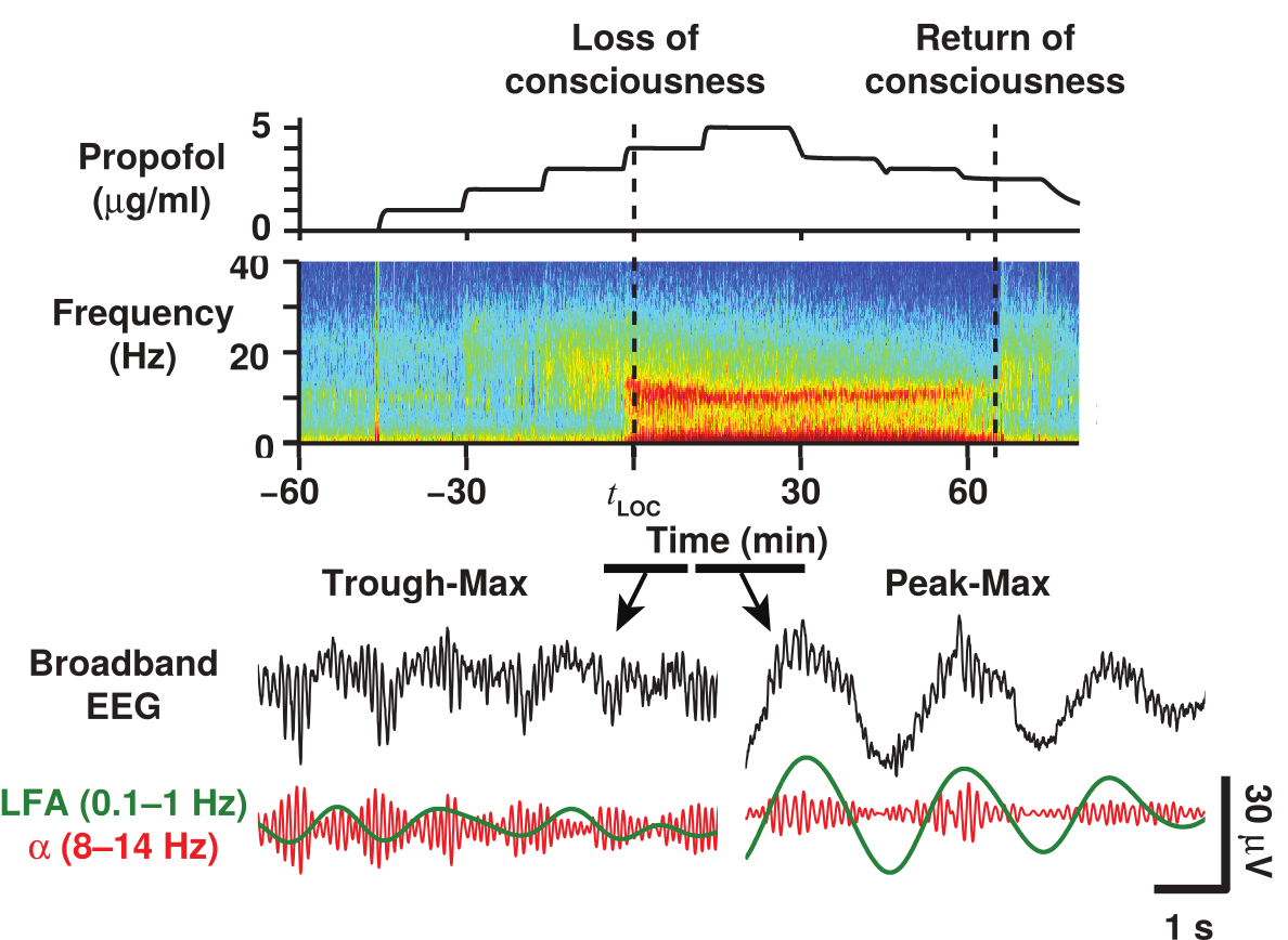 From Fig 1 of
@mukamel_transition_2014