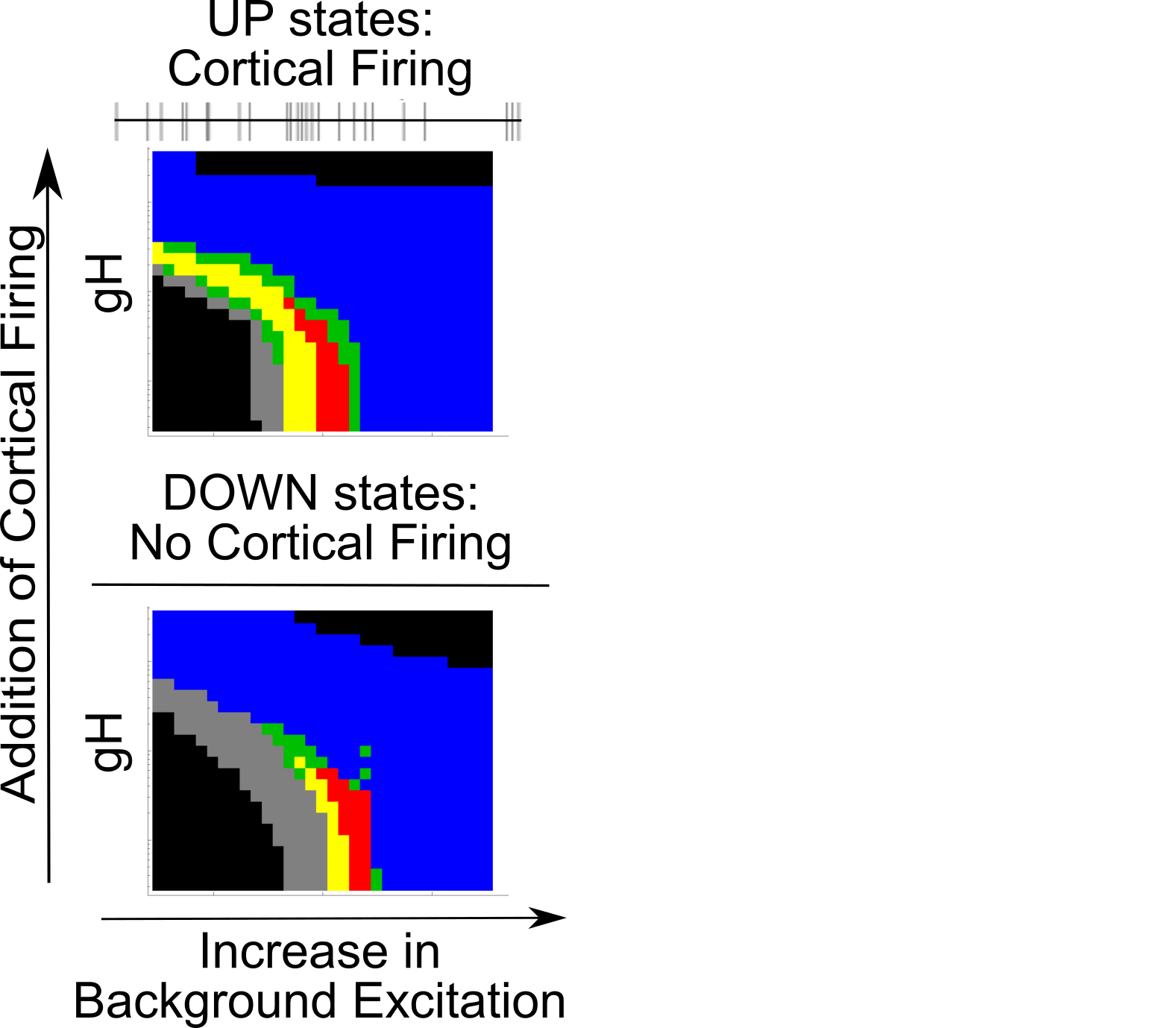 From Fig 7 of @soplata_thalamocortical_2017